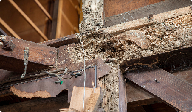 家屋へのリスク